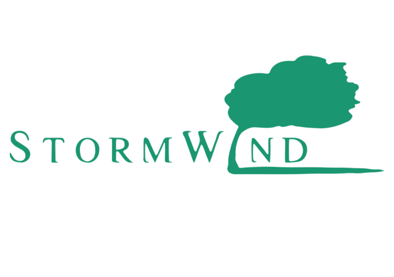 StormWind Logo